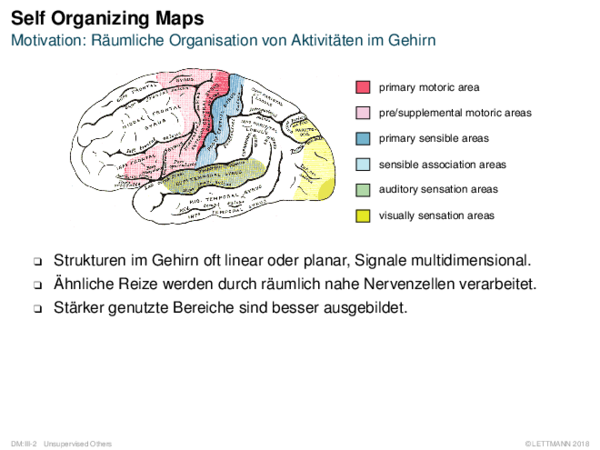 Self Organizing Maps Motivation: Räumliche Organisation von Aktivitäten im Gehirn